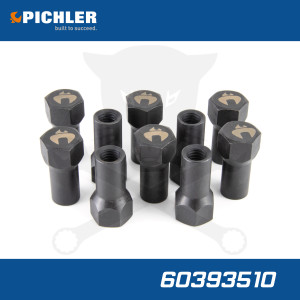 Pichler porlasztó leszorító csavar Felújító készlet-hez 10 db pótcsavar